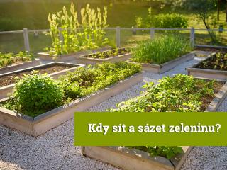 JARO - kdy sít a sázet zeleninu? JARO - kdy sít a sázet zeleninu?